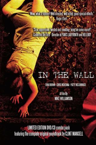 In the Wall poster