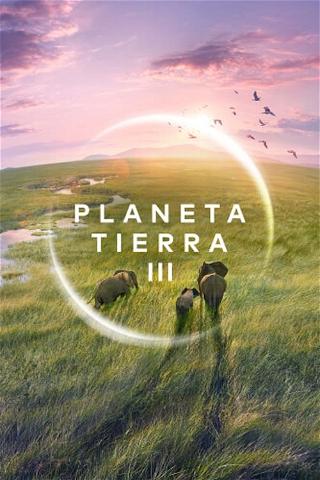Planeta Tierra III poster