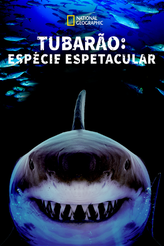 Tubarão: Espécie Espetacular poster