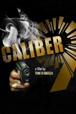 Caliber 9 poster