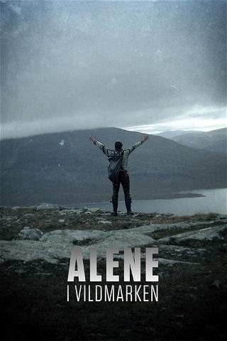 Alone: Denmark poster