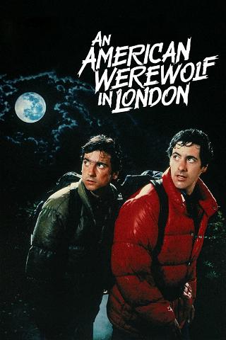 American Werewolf In London poster