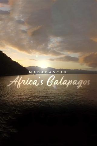 Madagaskar: Afrikas Galapagos poster