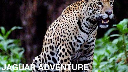 Jaguar Adventure With Nigel Marven poster