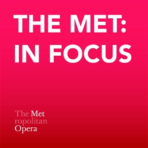 The Met: In Focus poster