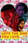 Love the One You Love poster