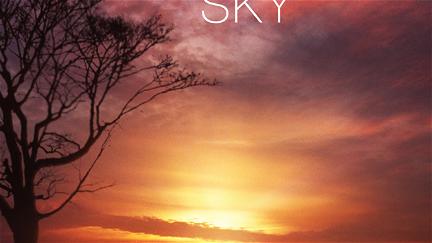 Hole in the Paper Sky poster