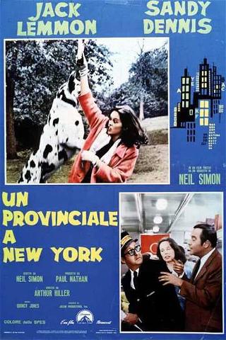 Un provinciale a New York poster