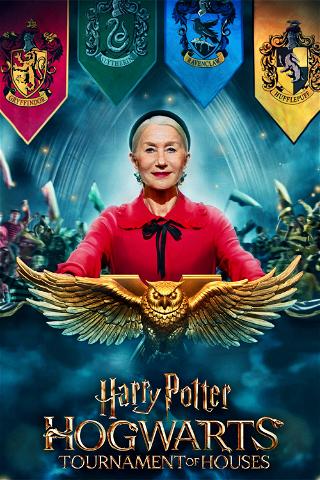 Harry Potter: Turniej Domów Hogwartu poster