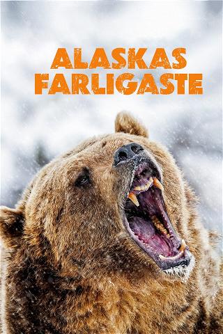 Alaskas farligaste poster