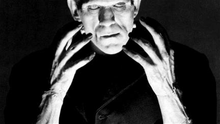 El funesto destino del doctor Frankenstein poster