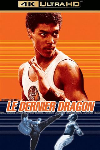Le Dernier Dragon poster