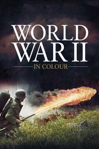 La II Guerra Mundial en color poster