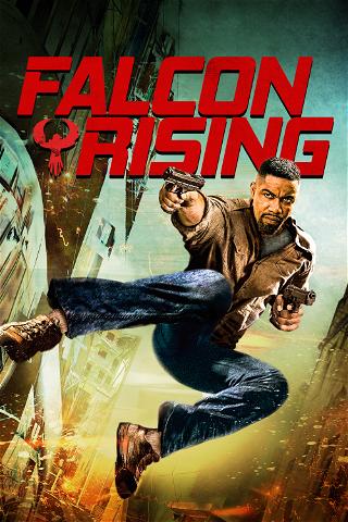 Falcon Rising poster