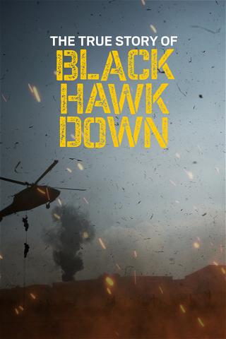 The True Story of Black Hawk Down poster