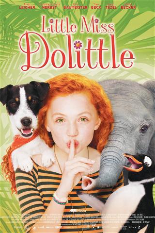Little Miss Dolittle poster