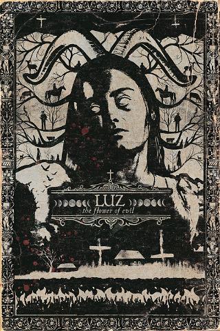 Luz: the Flower of Evil poster