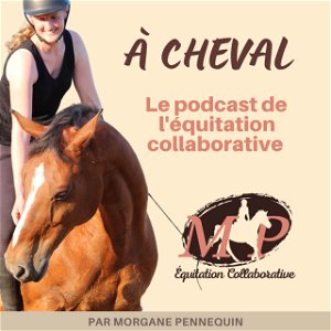 À cheval, le podcast de l'équitation collaborative poster