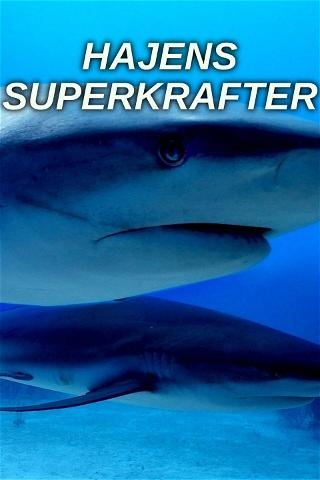 Hajens superkrafter poster