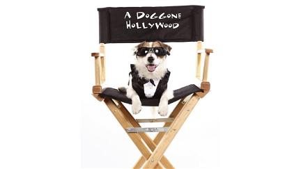 A Doggone Hollywood poster