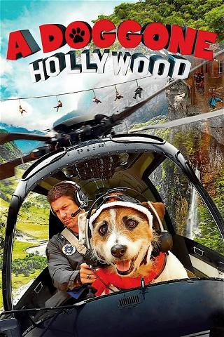 Perro de Hollywood (Spanish A Doggone Hollywood) poster