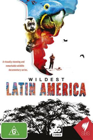 Villi latinalainen Amerikka poster