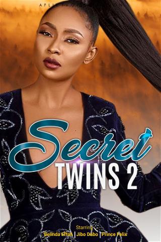 Secret twins 2 poster