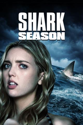 Shark Season poster