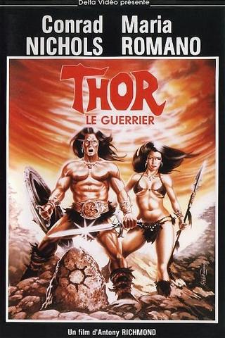 Thor le guerrier poster
