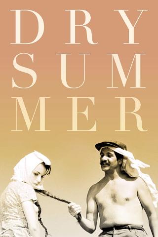 El árido verano poster