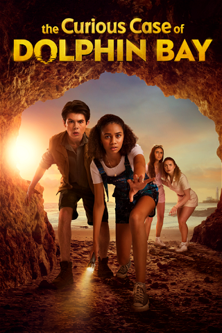 The Curious Case of Dolphin Bay poster