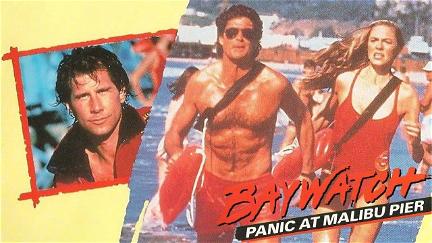 Baywatch: Panic at Malibu Pier poster