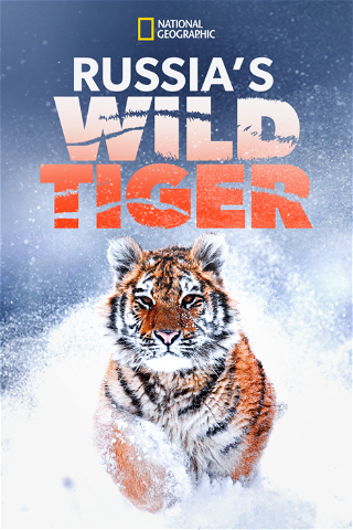 El tigre salvaje de Rusia poster