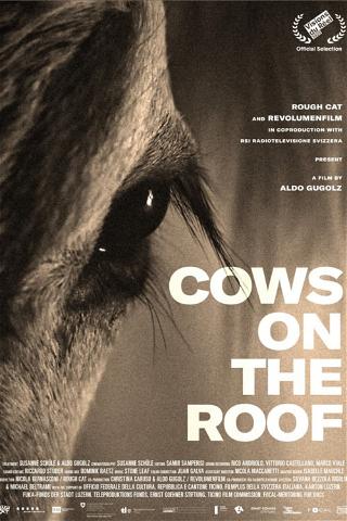 Cows on the Roof poster