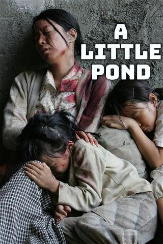 A Little Pond poster