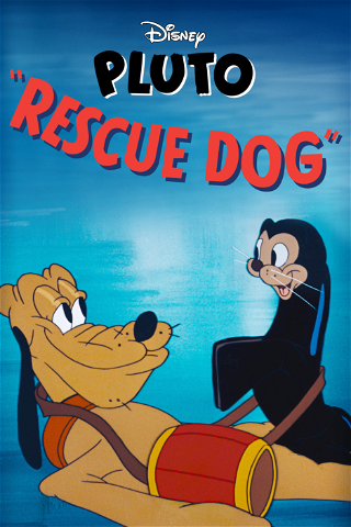 Rescue Dog poster