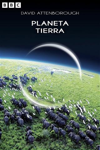 Planeta Tierra poster