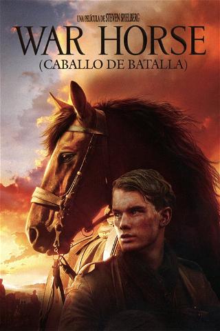 War Horse (Caballo de batalla) poster