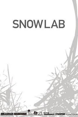 Snow Lab poster
