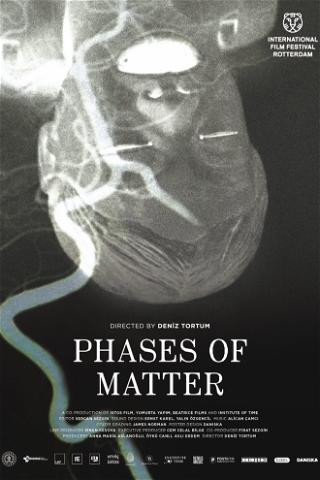 Phases of Matter poster
