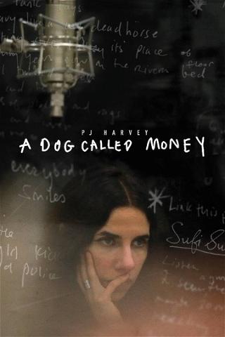 PJ Harvey: A dog called Money poster