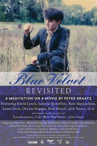 Blue Velvet Revisited poster