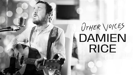Other Voices: Damien Rice poster