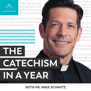 The Catechism in a Year (with Fr. Mike Schmitz) poster
