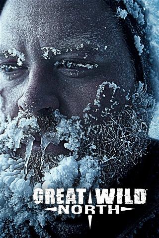 Great Wild North poster