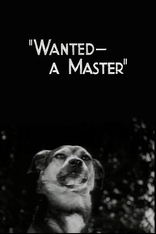 Wanted - A Master poster