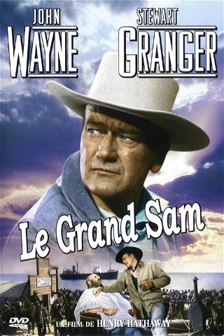 Le Grand Sam poster