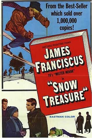 Snow Treasure poster