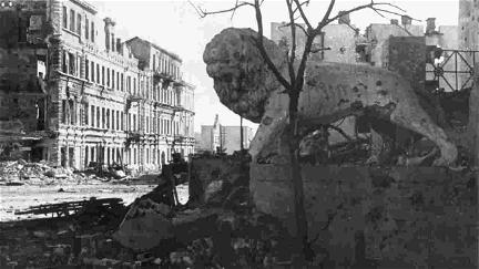 Stalingrad - Les voix de la mémoire poster