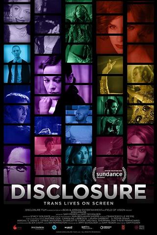 Disclosure - Hollywoods Bild von Transgender poster